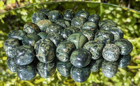 Kambaba Crocodile Jasper Tumbles