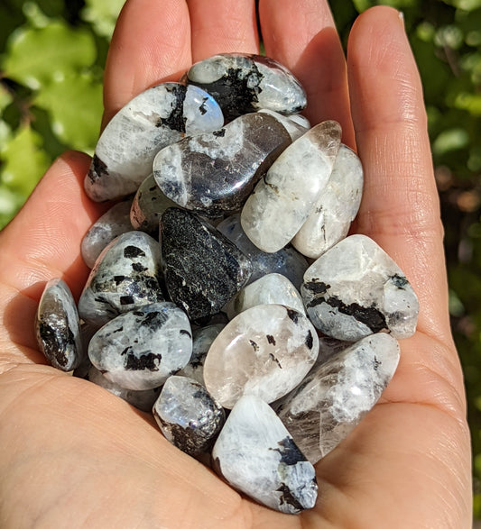Rainbow Moonstone Tumbles Extra Small