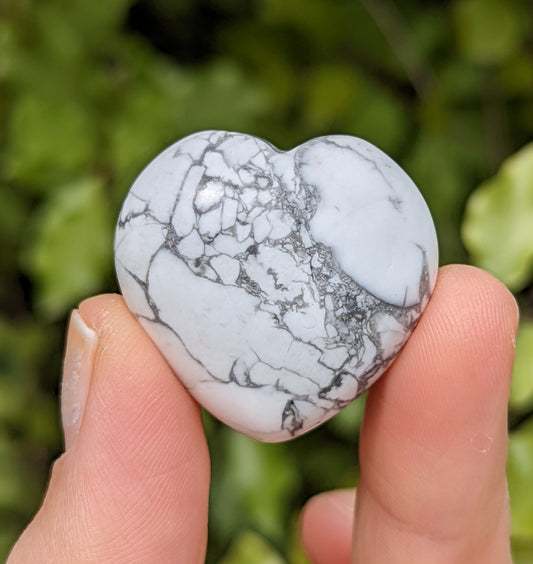 Howlite Hearts