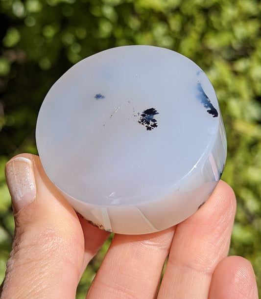 Flower Agate Coaster with Dendrite