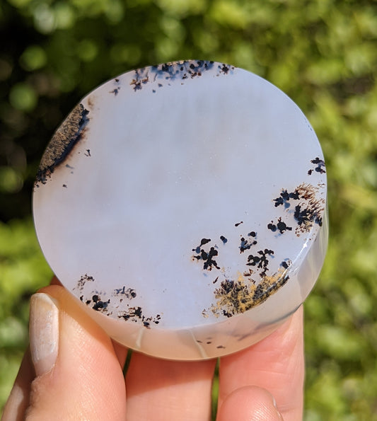 Flower Agate Coaster with Dendrite