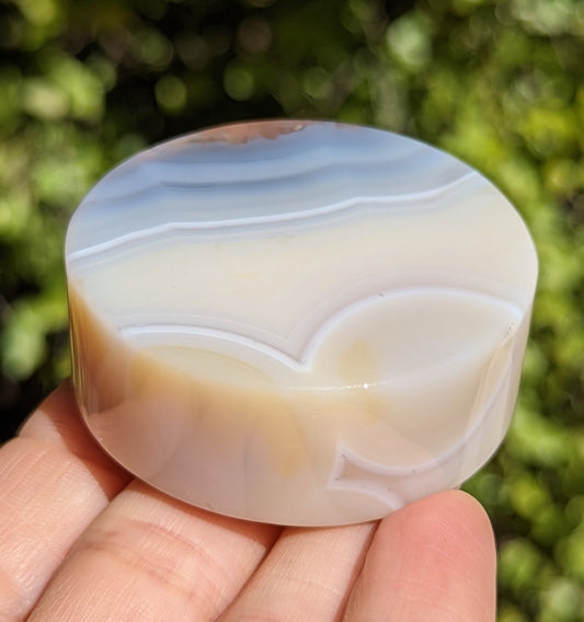 Flower Agate Coaster