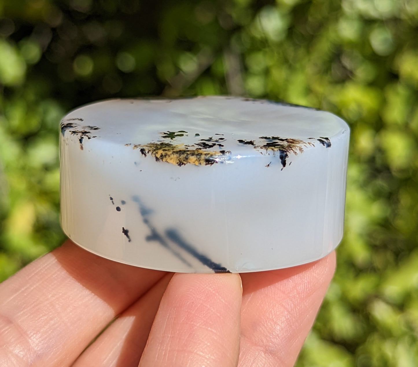 Flower Agate Coaster with Dendrite