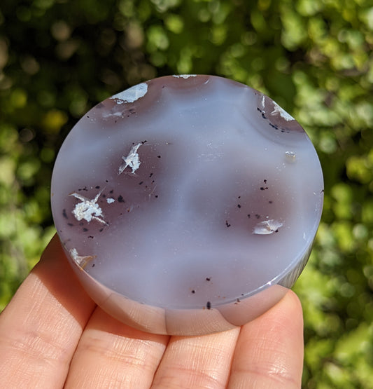 Flower Agate Coaster with Dendrite