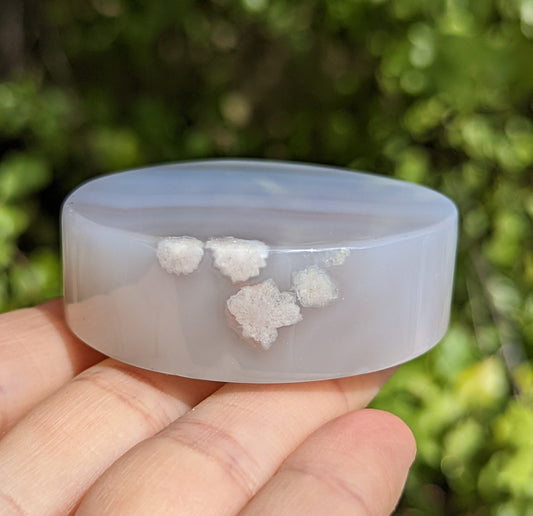 Flower Agate Coaster