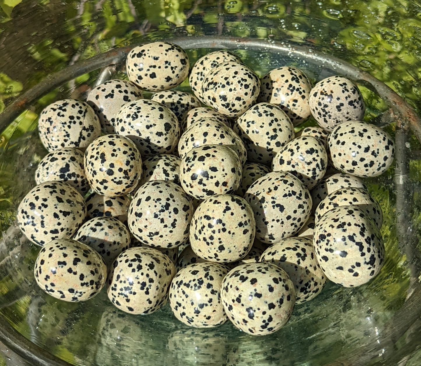 Dalmatian Stone Tumbles
