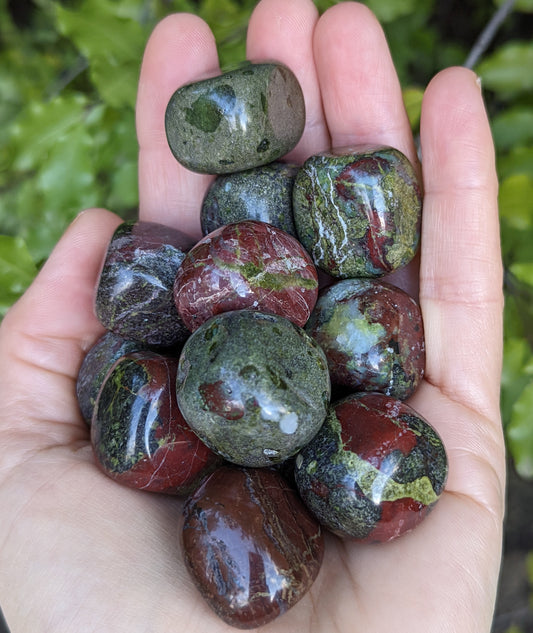 Dragons Blood Jasper Tumbles