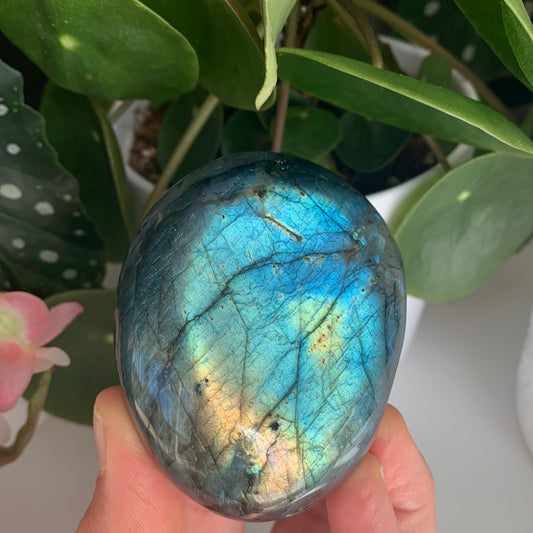 Labradorite Palm Stone