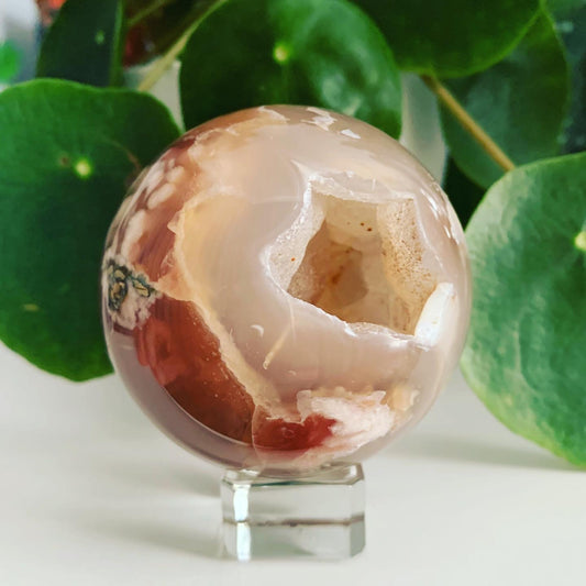 Black Flower Agate Sphere