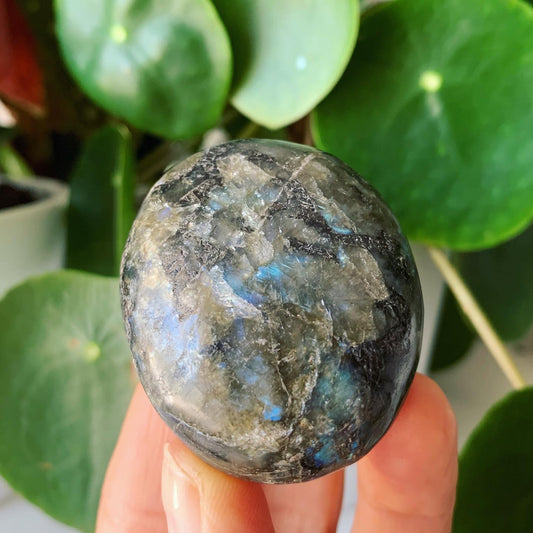 Labradorite Palm Stone