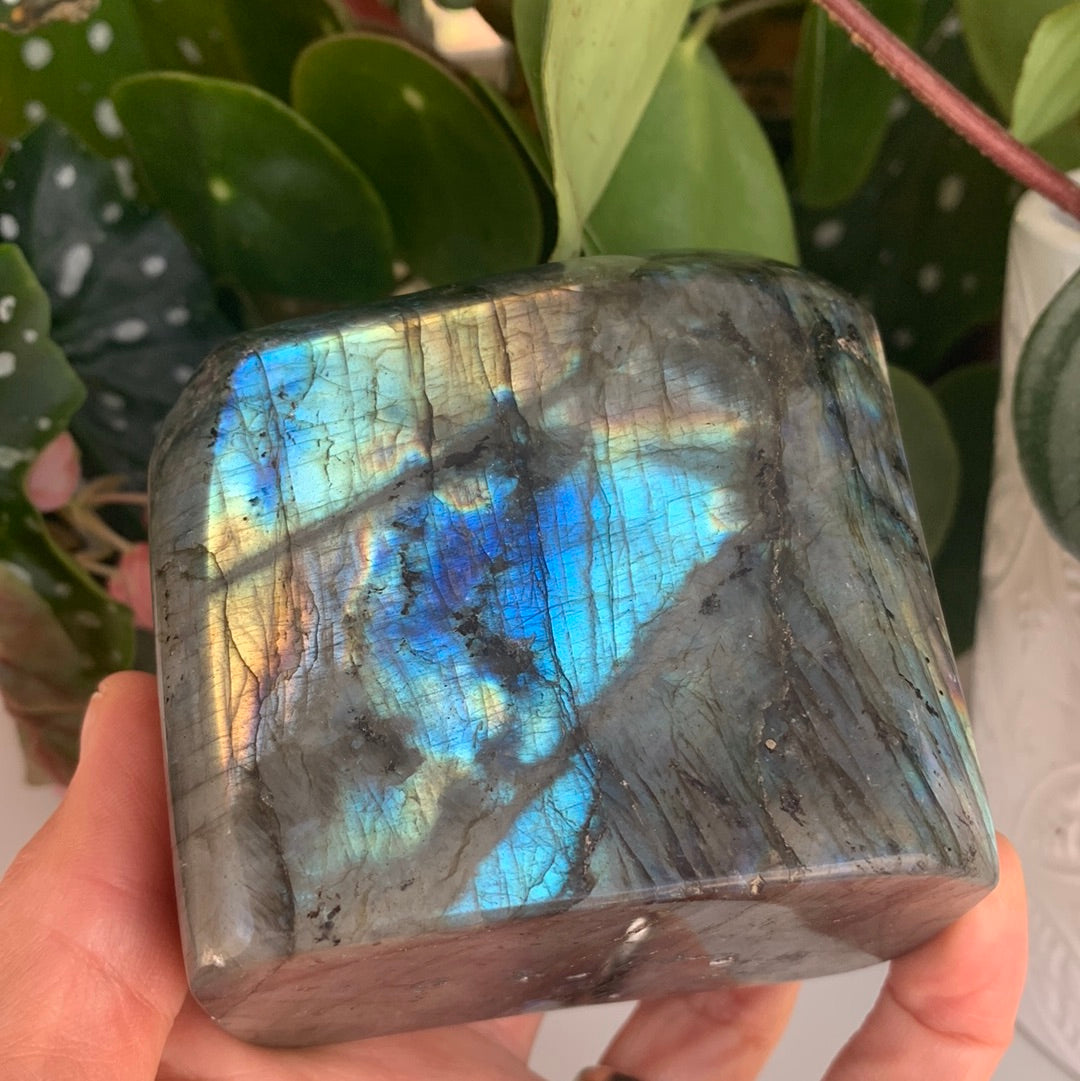 Labradorite Freeform