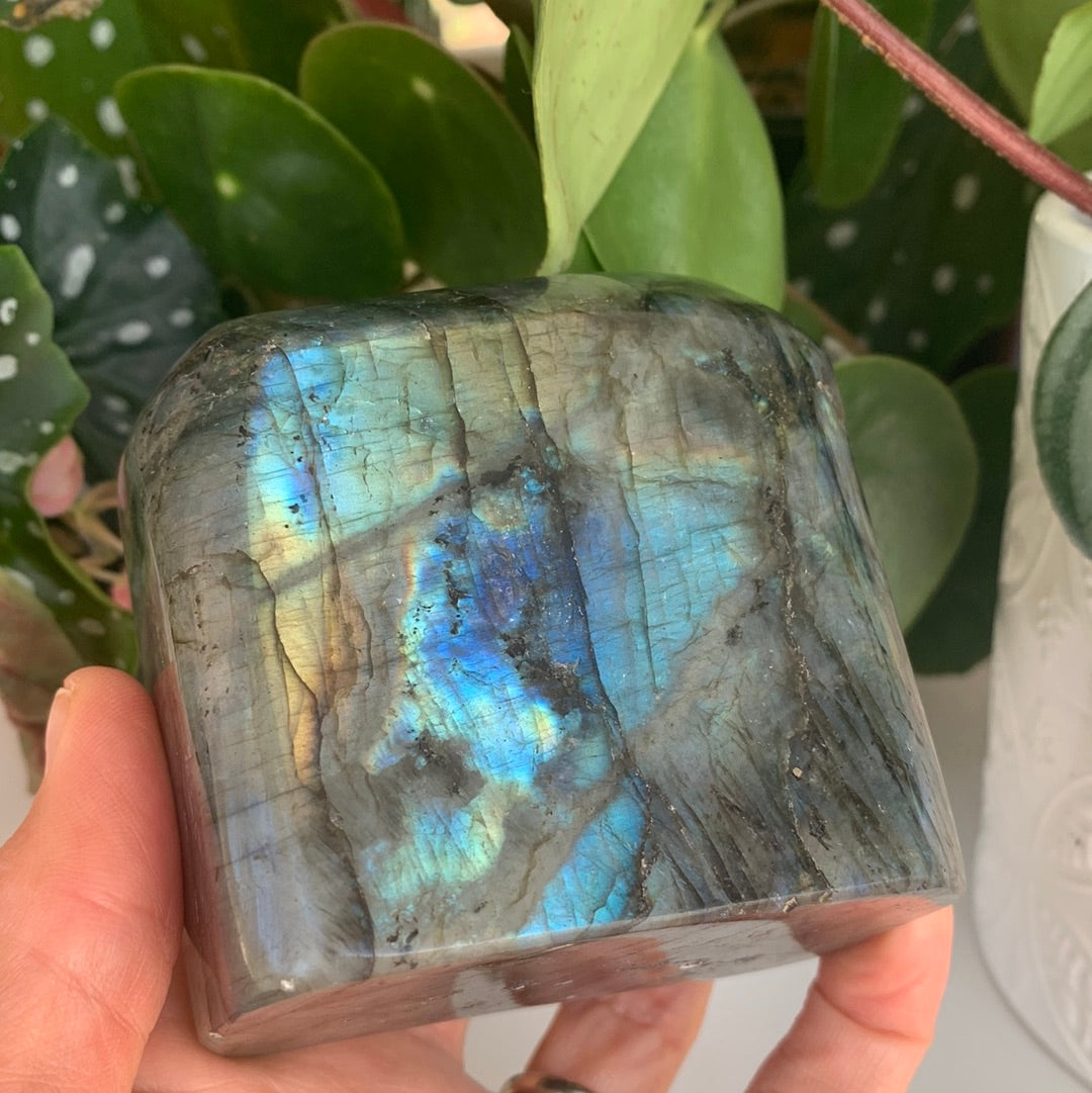 Labradorite Freeform