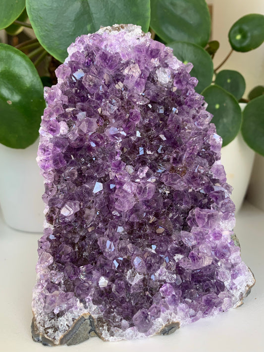 Amethyst Cluster