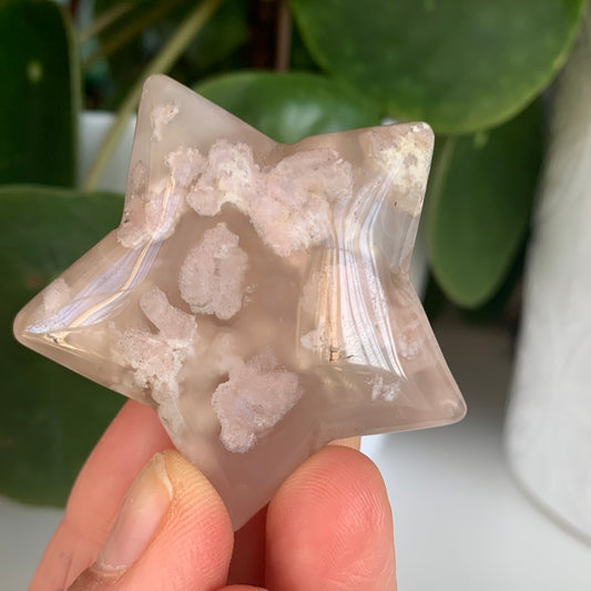 Flower Agate Star