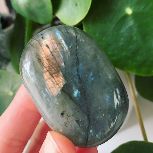 Labradorite Palm Stone