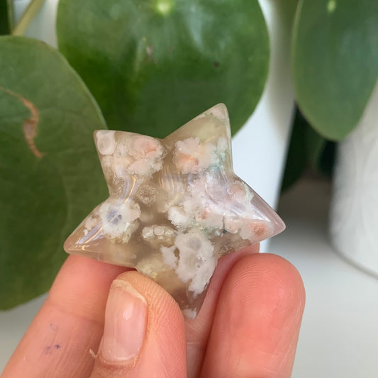Flower Agate Star
