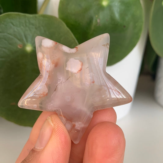 Flower Agate Star
