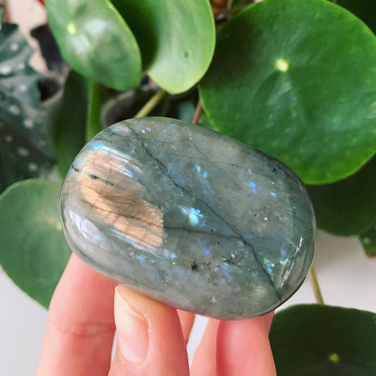 Labradorite Palm Stone