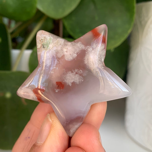 Flower Agate Star