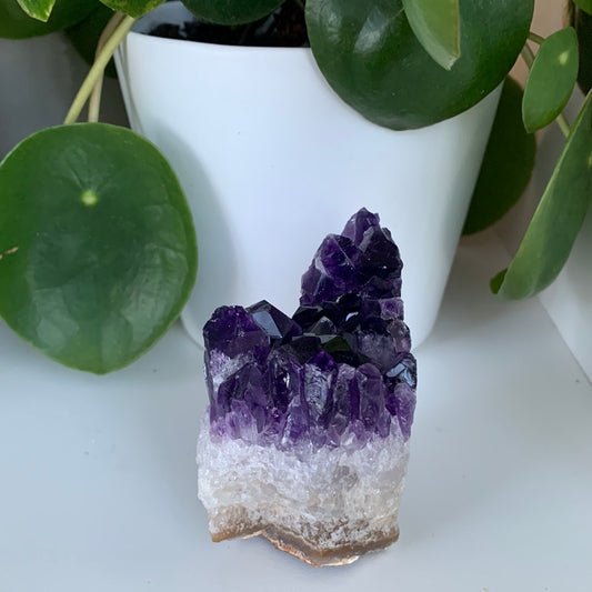Amethyst Cluster