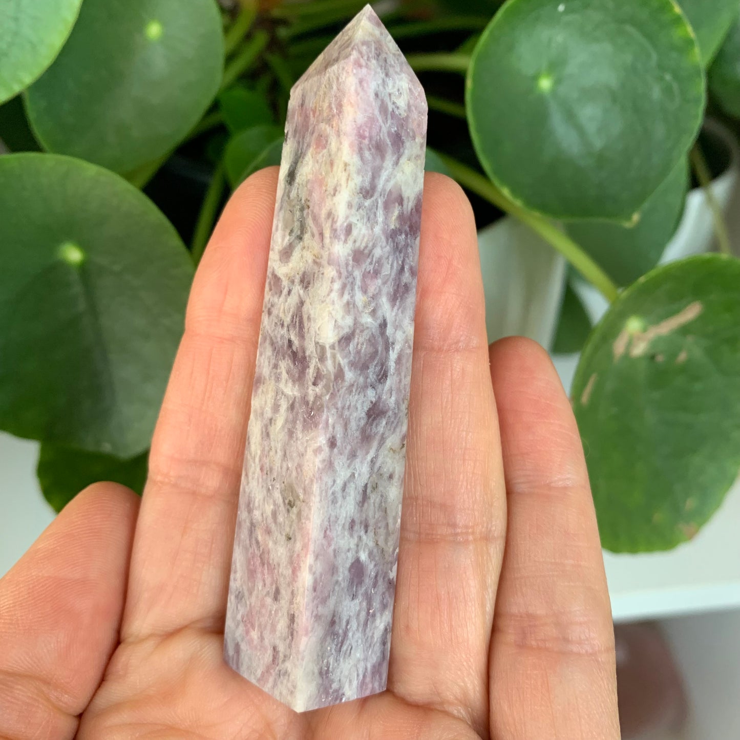 Plum Blossom Tourmaline Obelisk