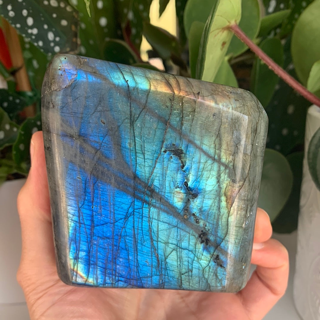 Labradorite Freeform