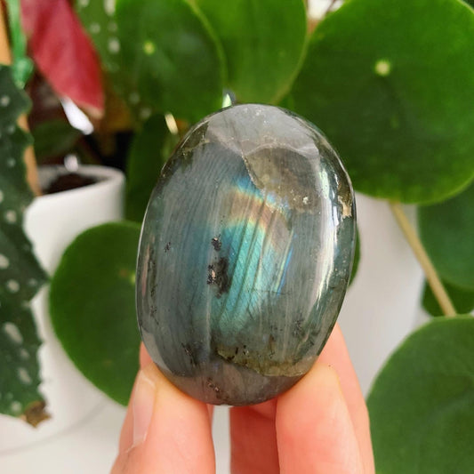Labradorite Palm Stone