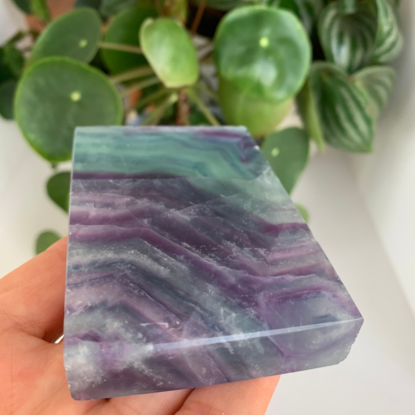 Fluorite Watermelon Slab