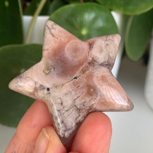 Flower Agate Star