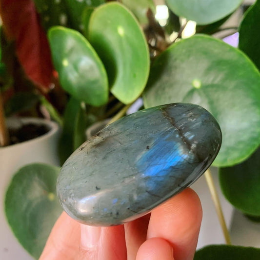 Labradorite Palm Stone