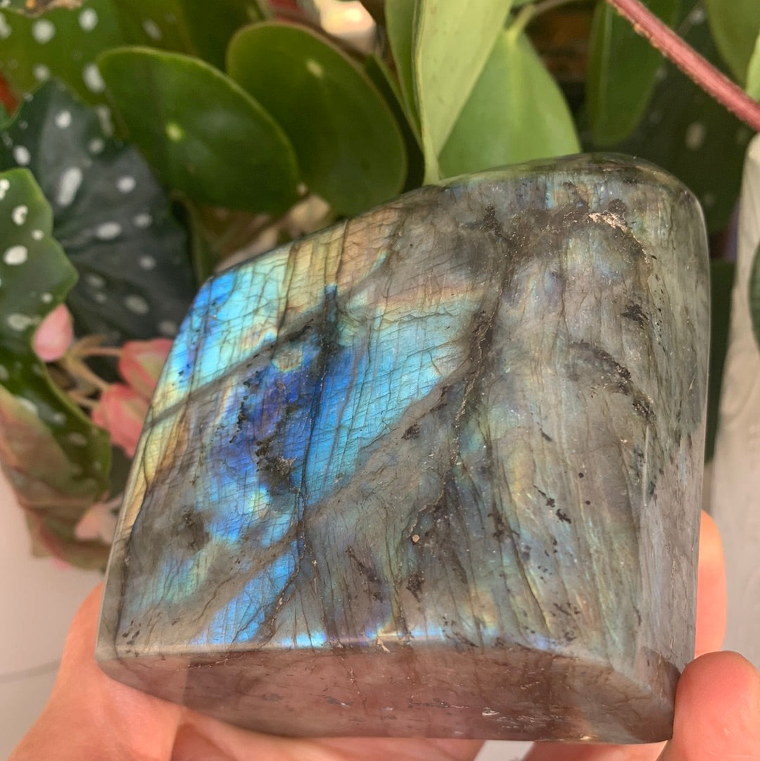 Labradorite Freeform