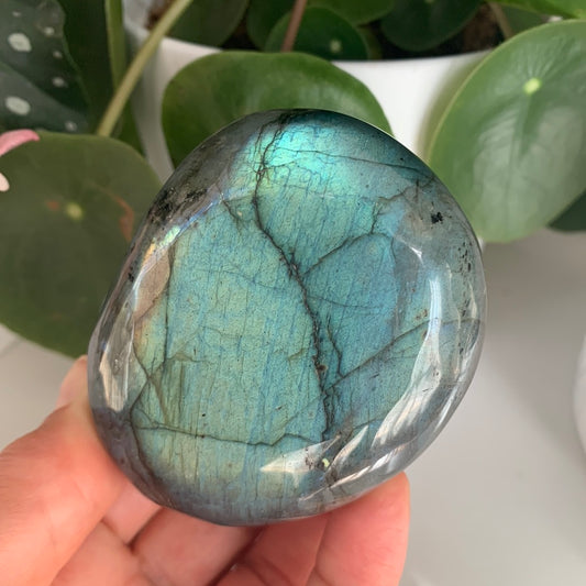 Labradorite Palm Stone