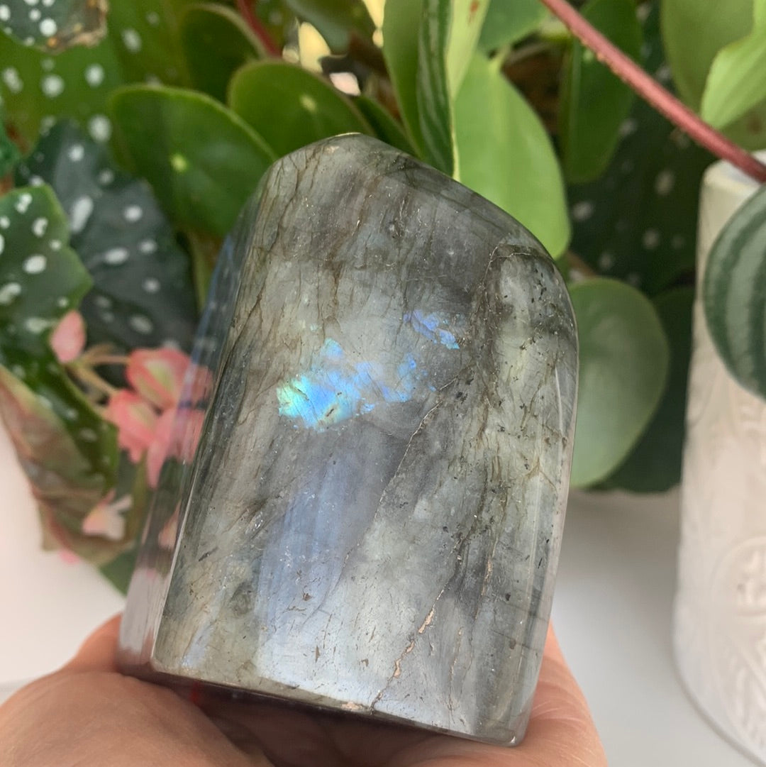 Labradorite Freeform