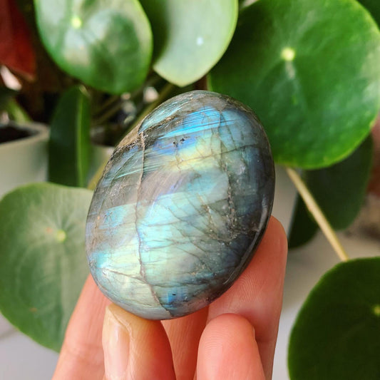 Labradorite Palm Stone