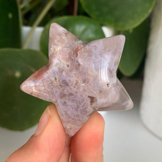 Flower Agate Star