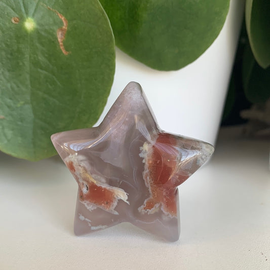 Flower Agate Star