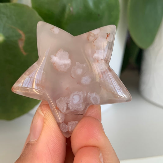 Flower Agate Star