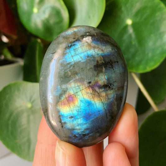 Labradorite Palm Stone