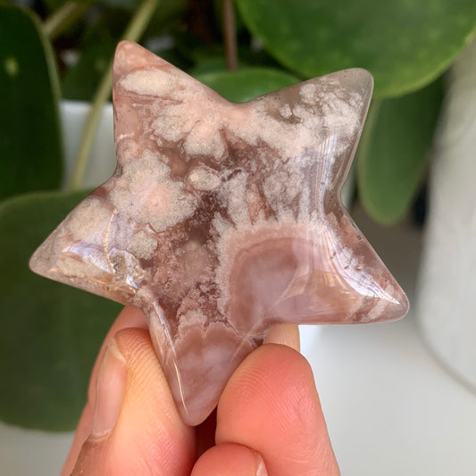 Flower Agate Star