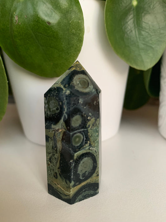 Kambaba Crocodile Jasper Tower