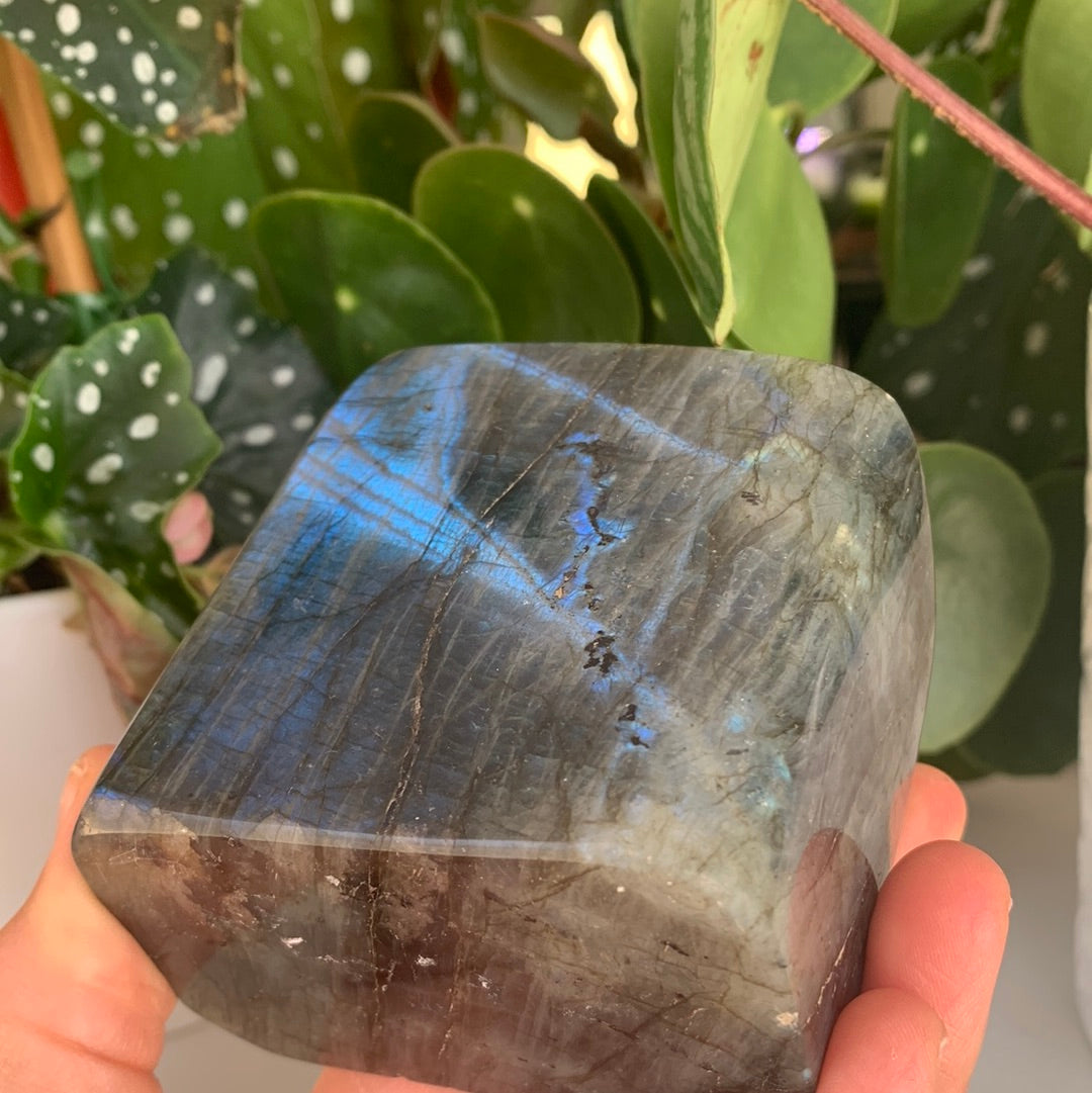 Labradorite Freeform