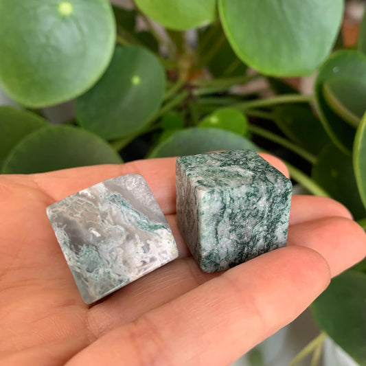 Moss Agate Cube Tumbles