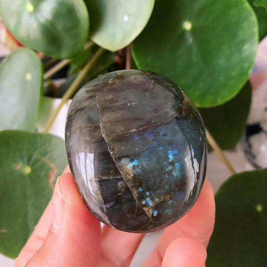 Labradorite Palm Stone