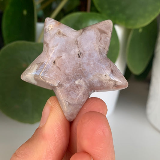 Flower Agate Star