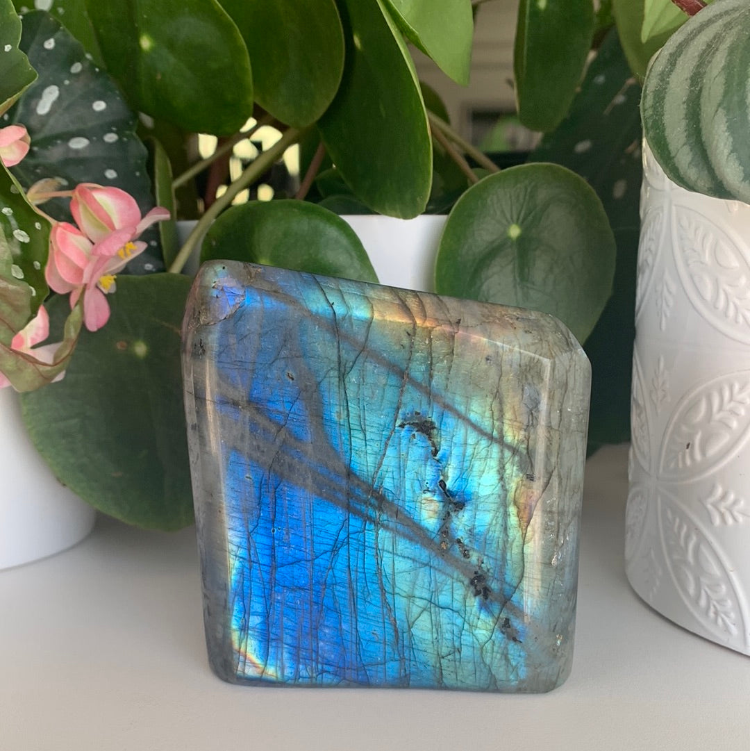 Labradorite Freeform