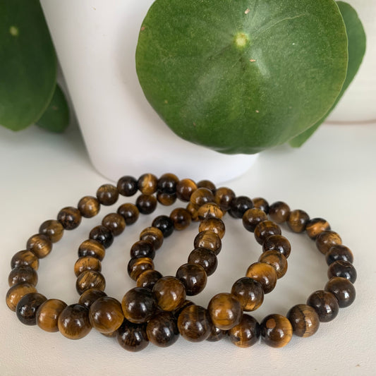 Yellow Tigers Eye Bead Bracelets 8mm Medium