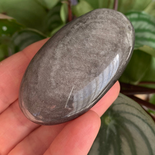 Silver Sheen Obsidian Palm Stone