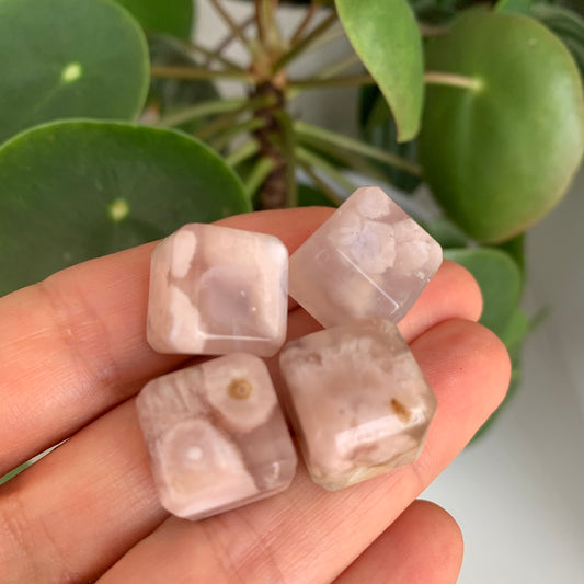 Flower Agate Cube Tumbles