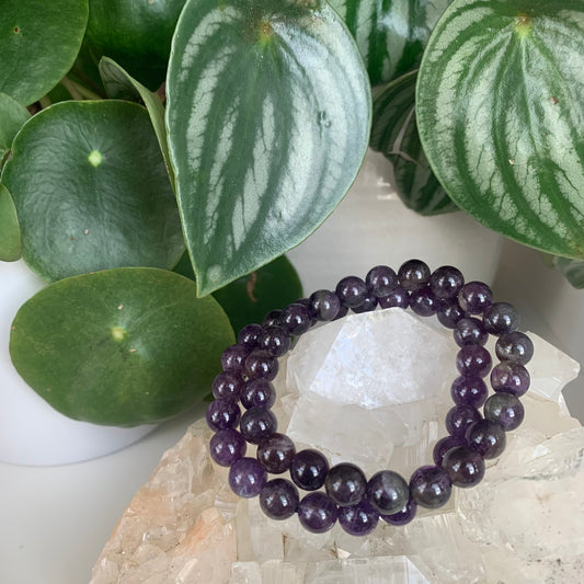 Amethyst Dream Bead Bracelets 8mm Medium