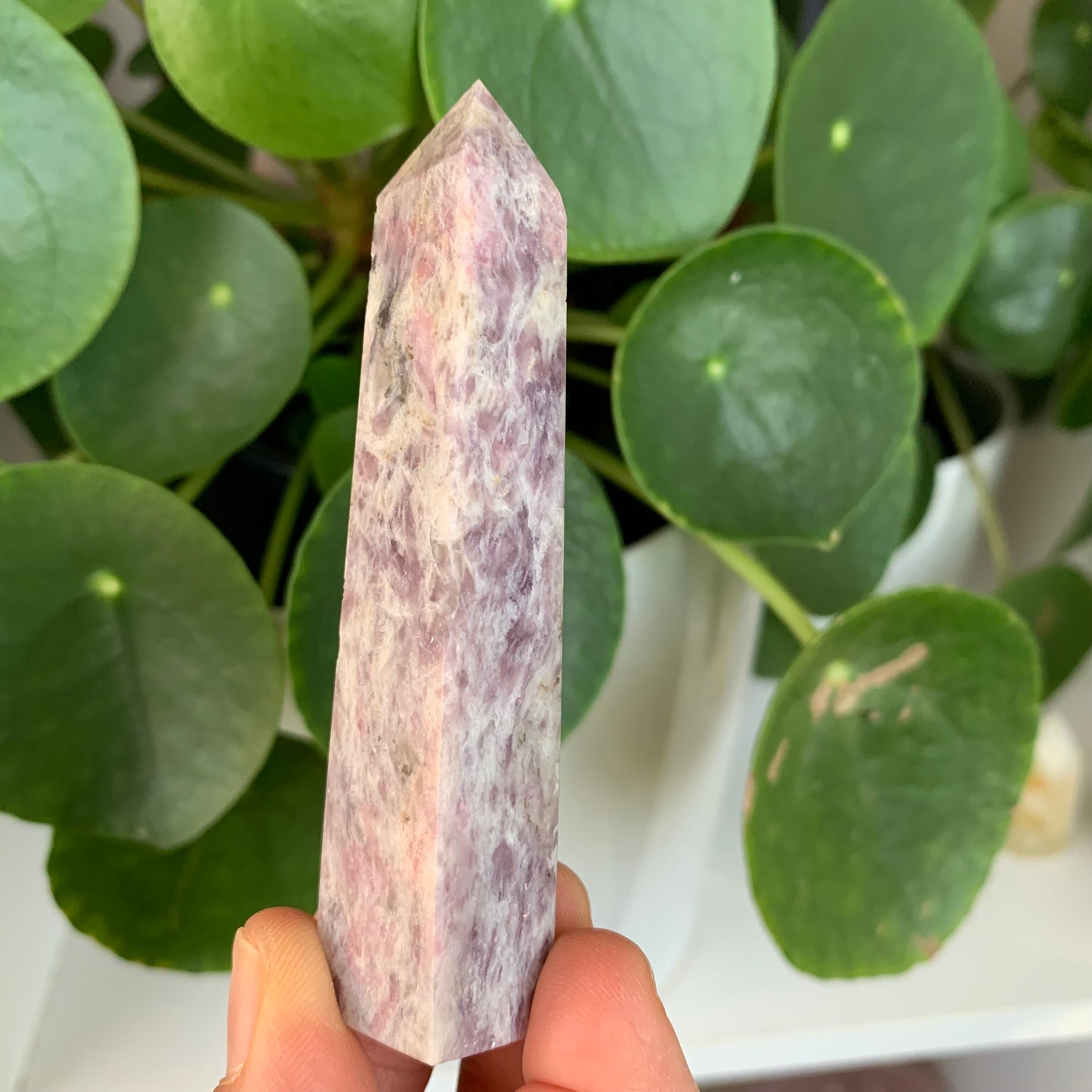 Plum Blossom Tourmaline Obelisk